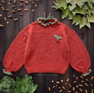 Adult Acorns Pullover | Red-orange