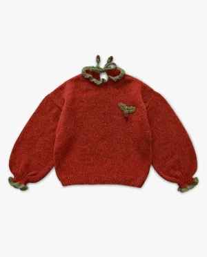 Adult Acorns Pullover | Red-orange