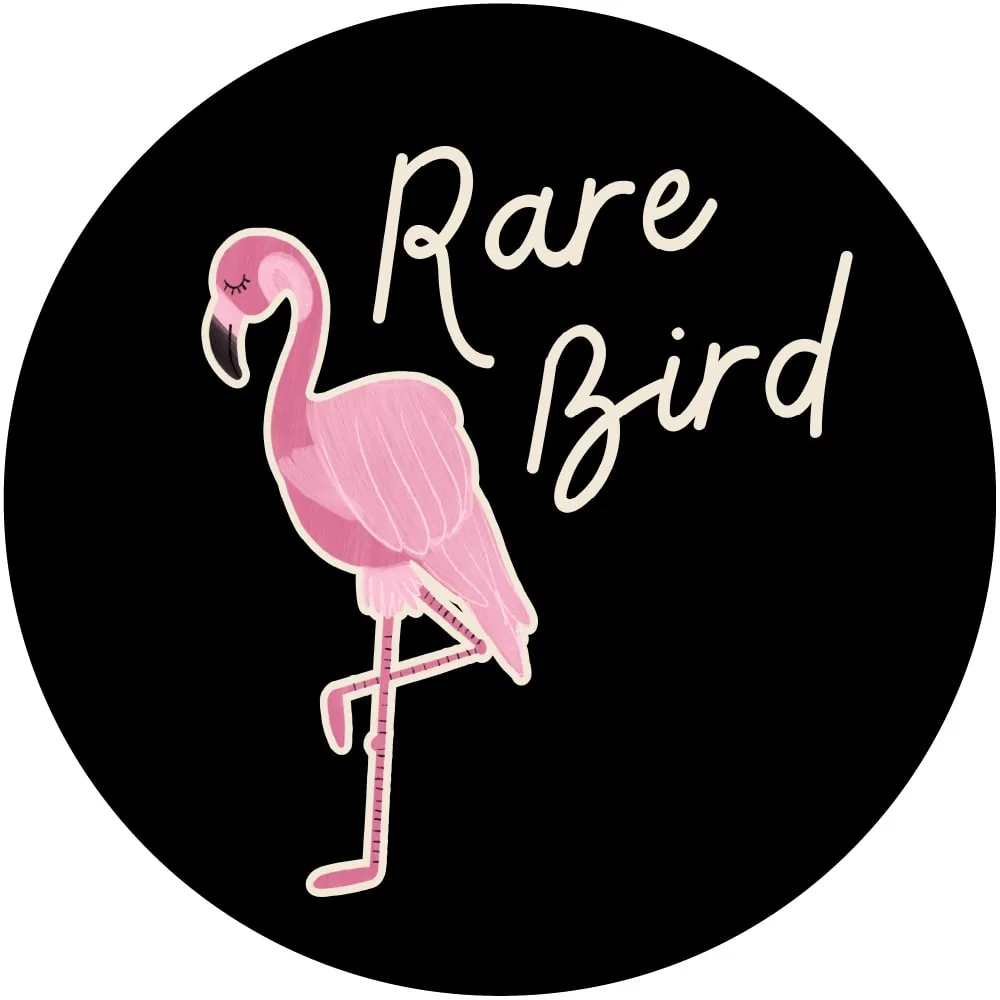 BAMBOO/COTTON 'RARE BIRD' PULLOVER
