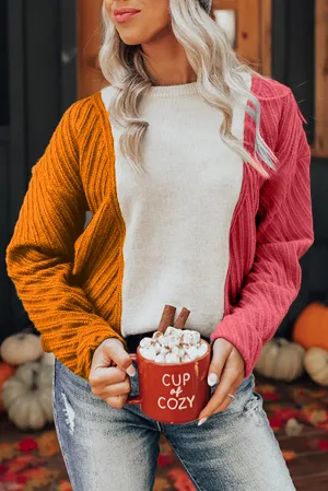 Multicolor Colorblock Textured Drop Shoulder Sweater