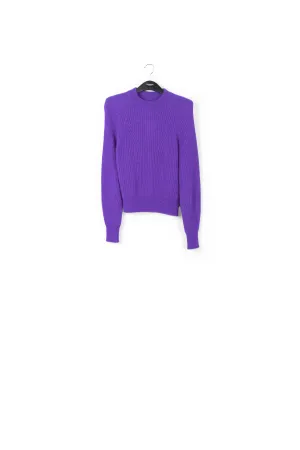 Purple fitted knit sweater