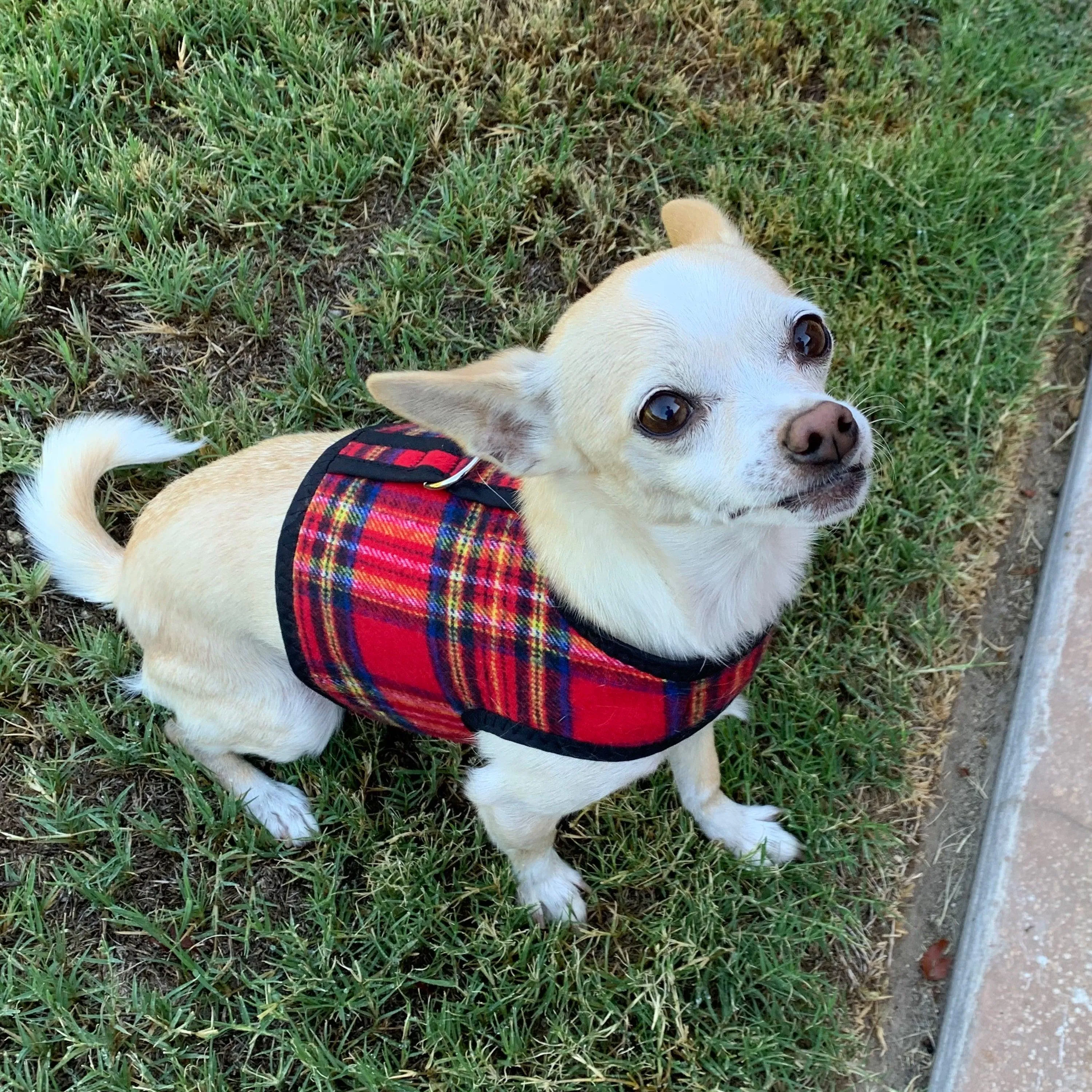 Red Tartan Plaid Brushed Cotton Dog Cat Vest Harness