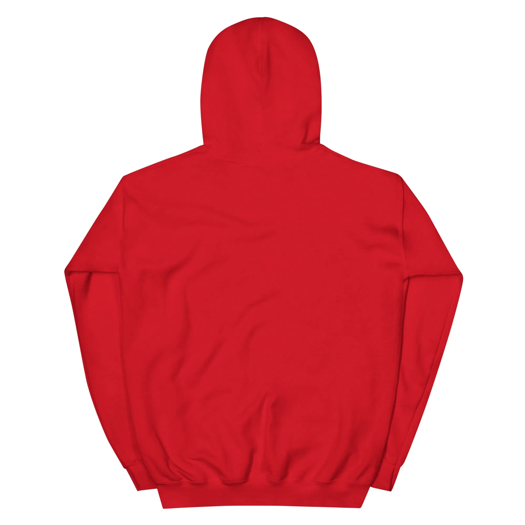 Unisex ZOEZI Embroidered Hoodie
