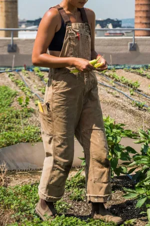 Women's Relaxed Fit Canvas Overalls
